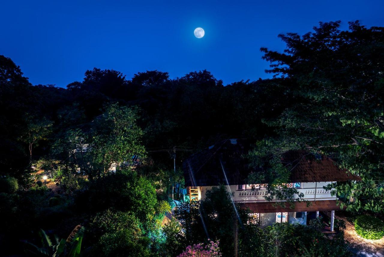 Gaia'S Garden Guest House Auroville Exterior foto