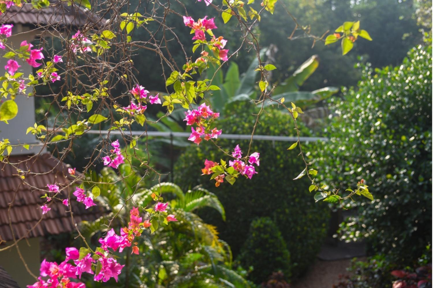 Gaia'S Garden Guest House Auroville Exterior foto