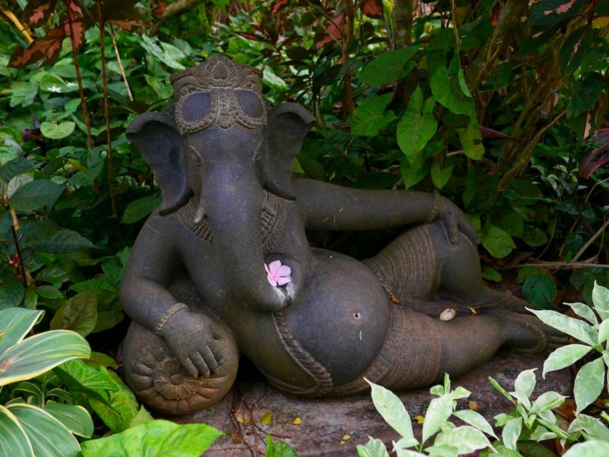Gaia'S Garden Guest House Auroville Exterior foto