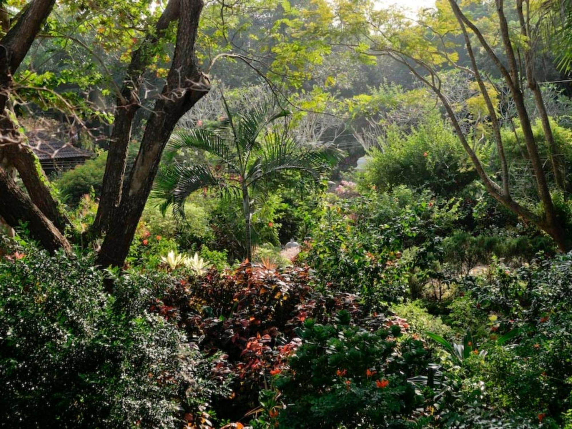 Gaia'S Garden Guest House Auroville Exterior foto
